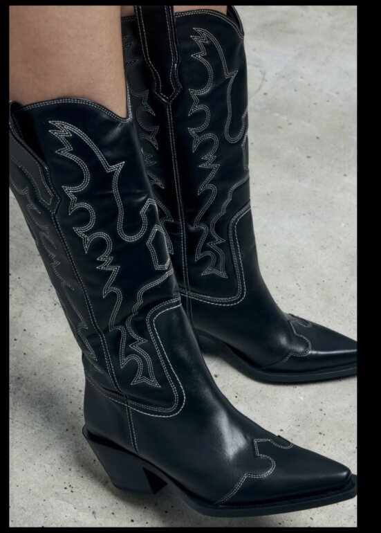 Bottes cow-boy